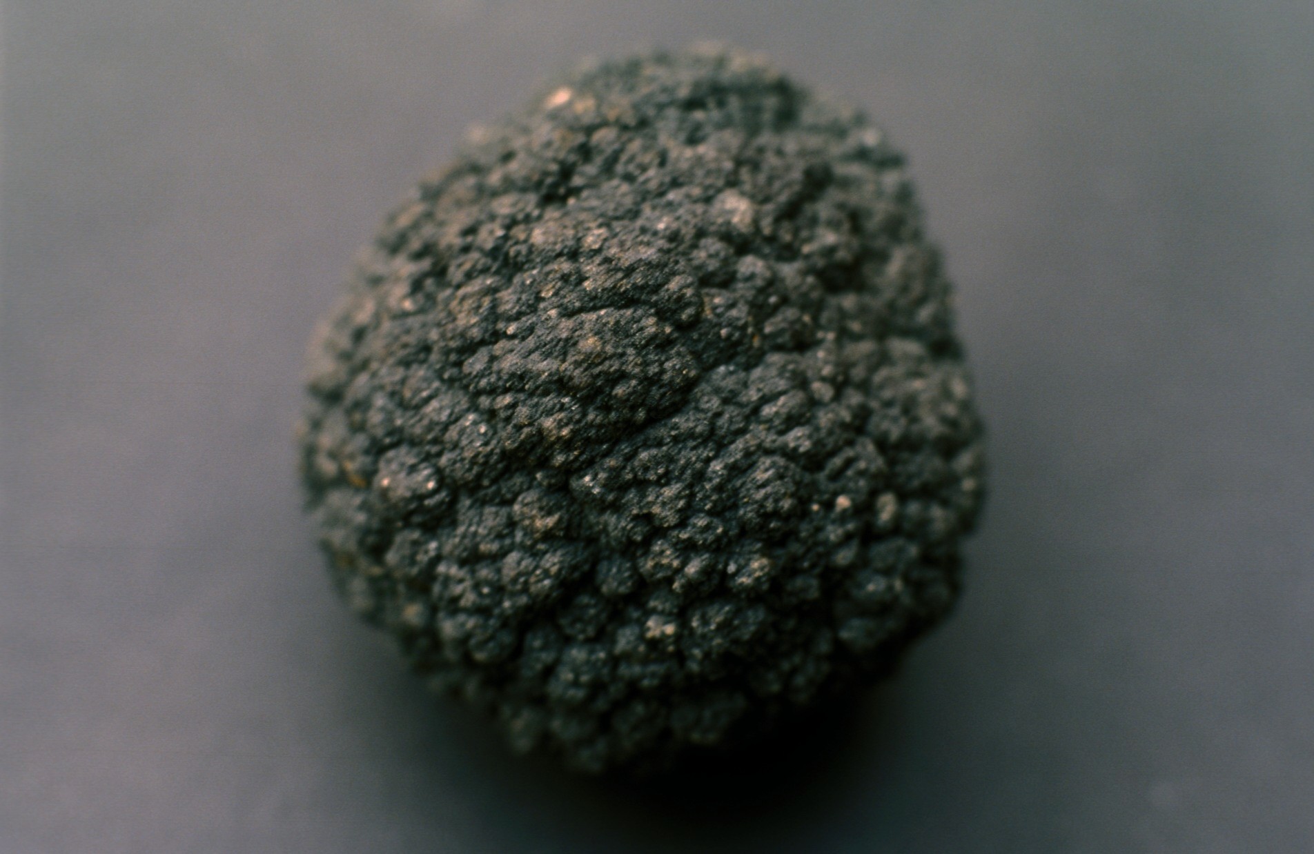 A polymetallic deep-sea manganese nodule