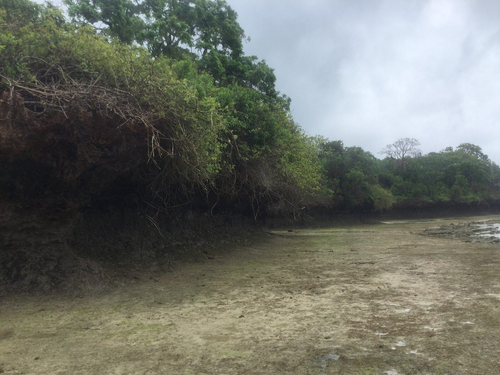 Wasini Island in Kisite-Mpunguti Marine National Park off the southern Kenyan coast