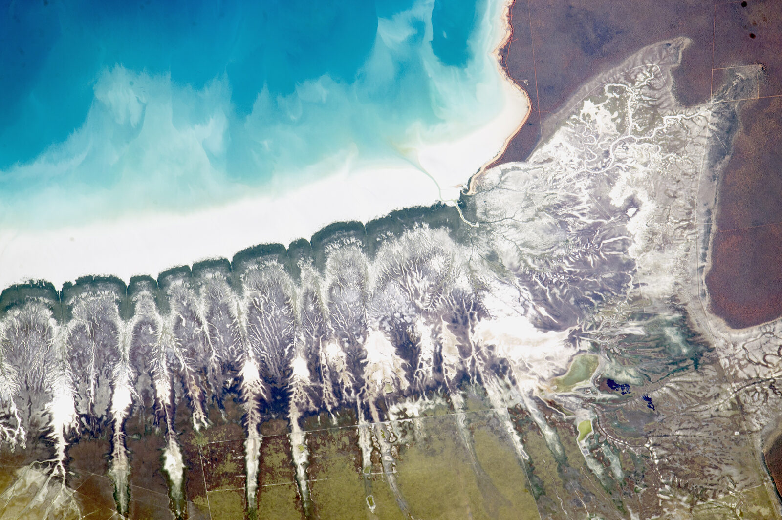 Roebuck Bay tidal patterns from ISS, NASA Earth Observatory