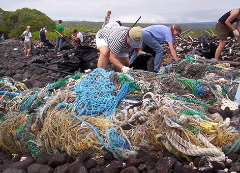 Marine debris gathered during a coastal cleanup