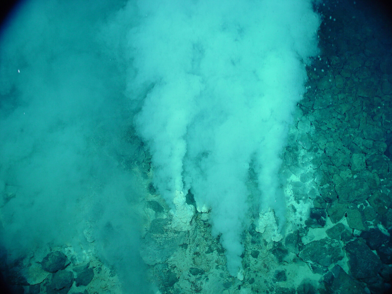 Hydrothermal vent white smokers in the deep sea
